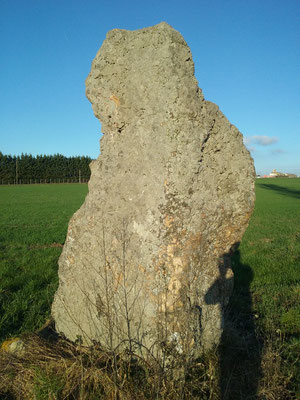 Menhir de Montifray (Beaumont-La-Ronce)