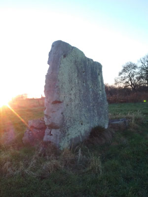 Menhir de la Pierre Levée (Saint-Paterne-Racan)