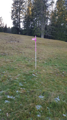 Schneeschuhtrails und Winterwanderwege Ende Dezember ;)