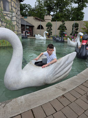 Phil aus dem Haus St. Martin im Schwanenkarussell im Taunus Wunderland