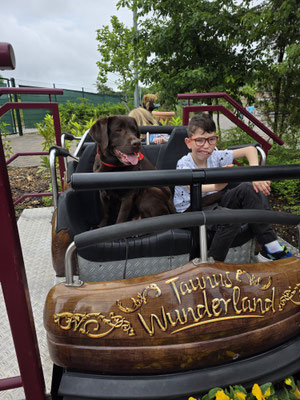 Phil aus dem Haus St. Martin in der Achterbahn ›Wilde Maus‹ im Taunus Wunderland
