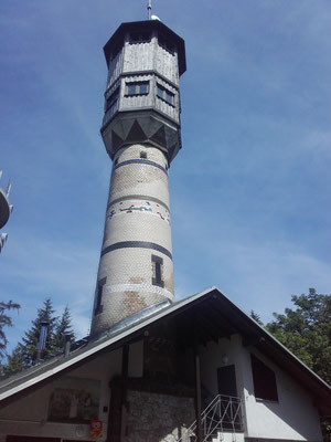 Der alte Turm