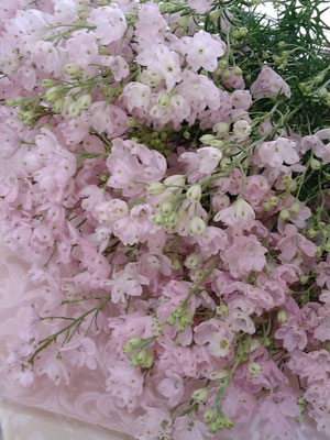 母の日さくらひめ花束　