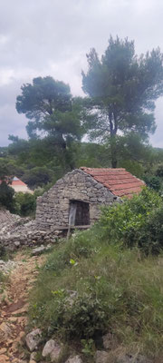 MLIJET Naturreservat