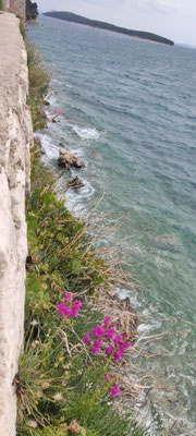 Kroatien Rab