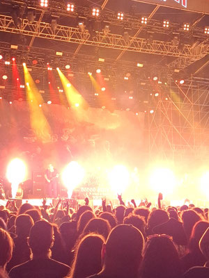 Blood Fire Death