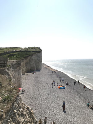 East Dean Falaise