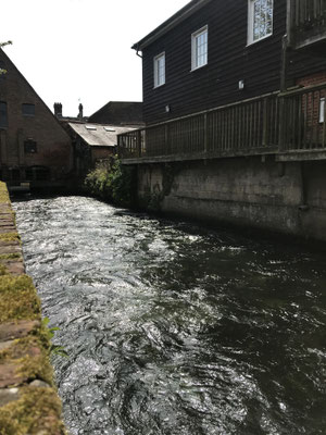 Winchester City Mill - Moulin à eau