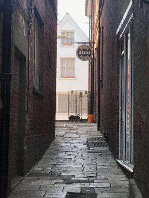 Winchester 