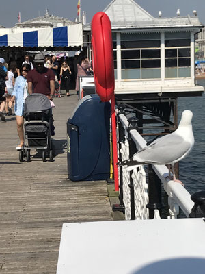 Brighton Palace Pier