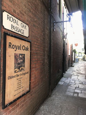 Winchester 