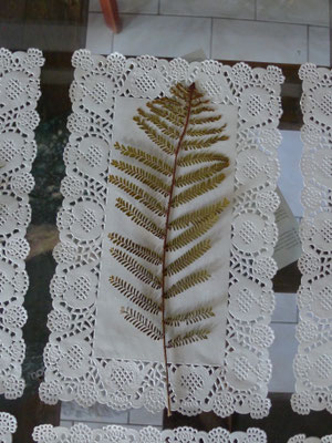 Herbiers papier-dentelle Caroline Delannoy