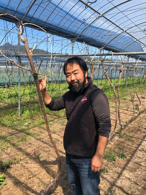 香月ワインズ2019年春の畑と香月さん