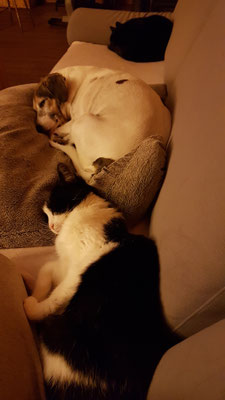 Samira und Sunny