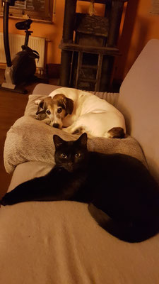 Jamie und Sunny