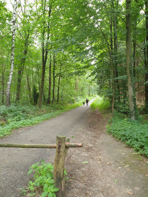 Von Grossebusch zum Hexenhaus