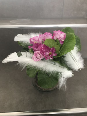 Ostergeschenk 