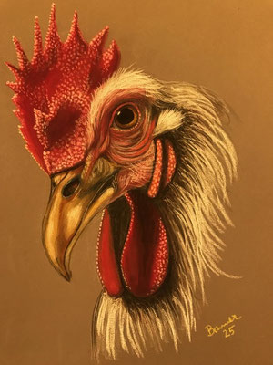 ARTwork: Kurt Bonner (AT) | popUP Ausstellung - Hohenemser Weihnachtsgasse