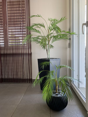 Palmenblätter in Anthrazit-Gefässen