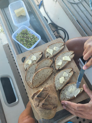 Sauerteigbrot mit Butter aus der Salzlake und an Bord gezogenen Sprossen