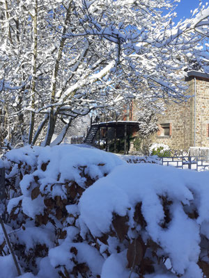 Altitude 445 - La Chouette s'amuse - Jardin d'hiver