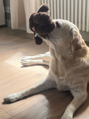 LOTTA