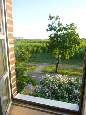 Blick aus dem Turmfenster auf den Elberadweg