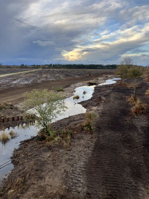 Remise en eau zone humide à Hourtin