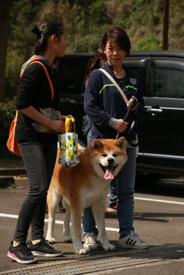 人気者の文太、今日はお姉ちゃんと参加です