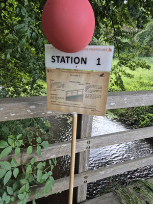 Station 01