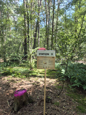 Station 09