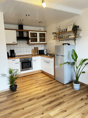 Moderne, voll ausgestattete Küche in der Ferienwohnung „Auszeit Winterberg“ in Niedersfeld. Mit Backofen, Ceranfeld, Kühlschrank und stilvollen Details wie offenen Regalen und Pflanzen – ideal für entspannte Urlaubstage im Sauerland.