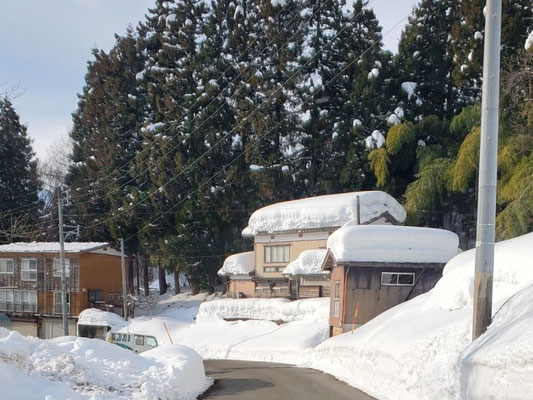 UNE HAUS - 特定非営利活動法人UNE UNE HAUS - 特定非営利活動法人UNE