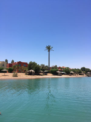 Blick von Hamadis Villa über die Lagune - Man beachte die Sendepalme