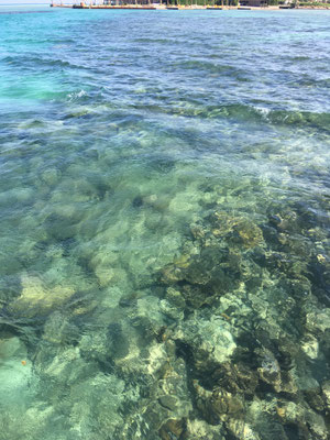 Das Rote Meer ist gar nicht rot