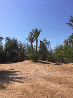 Hamadis Garten