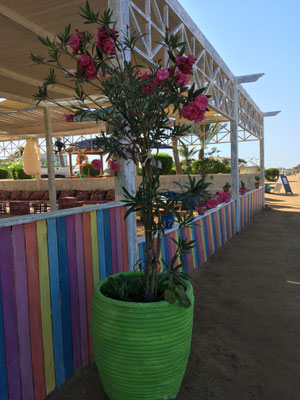 Strandbar in Zeytouna Beach