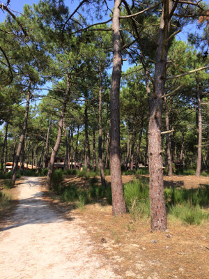 Wanderweg in Euronat