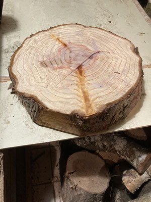 Holz für eine Schale aus Zedernholz d=ca40cm, h=6cm