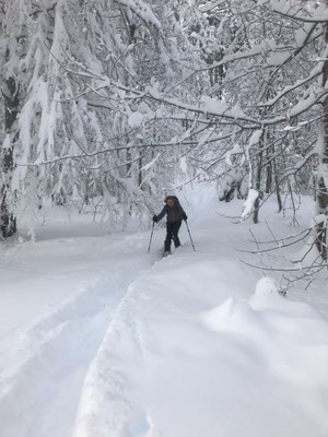Denise Sigg Skitour auf den Bachtel 1115m