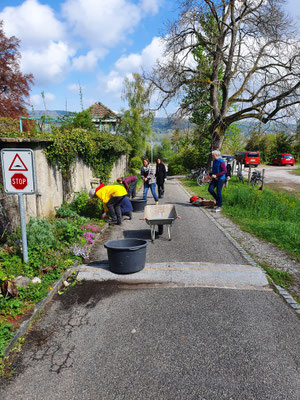 Wir jäten ... jeden Morgen gibt es einen Einsatz im Garten