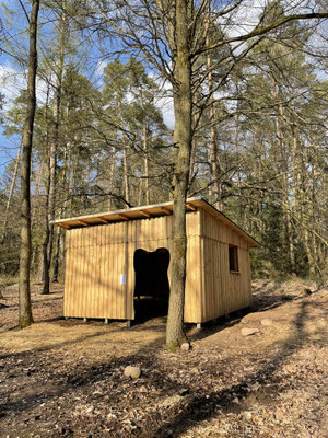 Waldhütte Kita Wetter