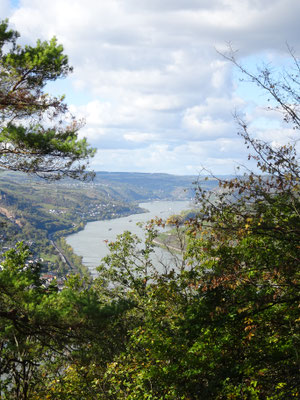 Spendide vue au détour d'un chemin de forêt 