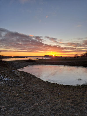 frostige Birkromantik