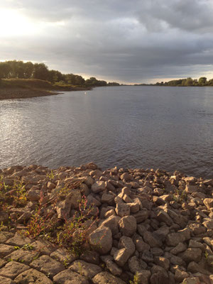 Blick auf die Elbe von unserer Hafeneinfahrt