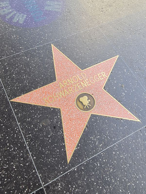 Holywood Walk Of Fame