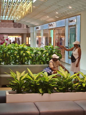 Renaissance Mall