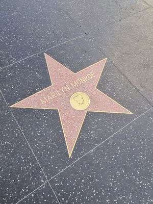 Holywood Walk Of Fame
