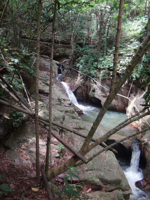 Entlang des Bachlaufes dem Wasserfall entgegen