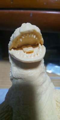 The lower head is attached to the mouth